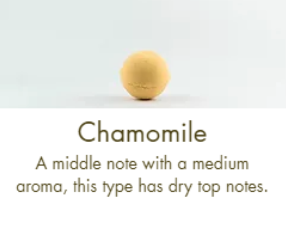 Pure Essential Oils (Box of 1)