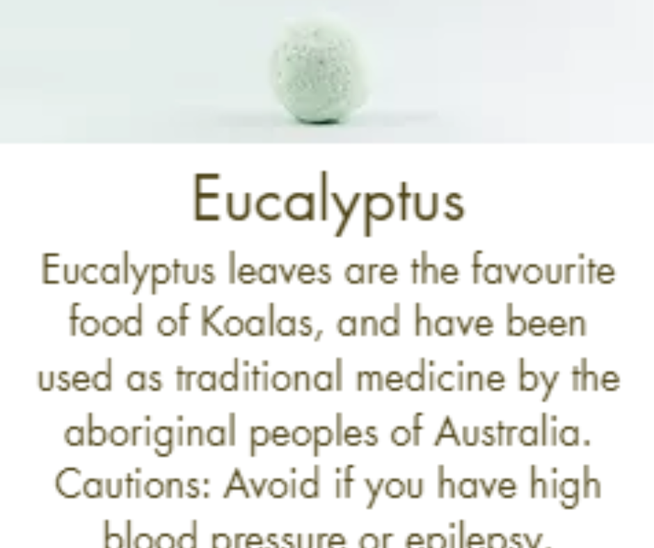 Pure Essential Oils (Box of 1)