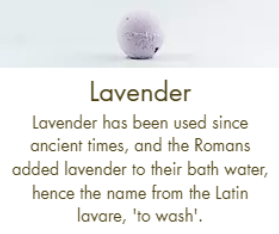 Pure Essential Oils (Box of 1)