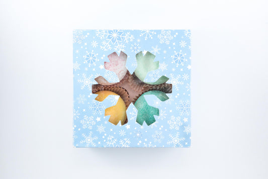 Christmas Bathbombs (box of 4)